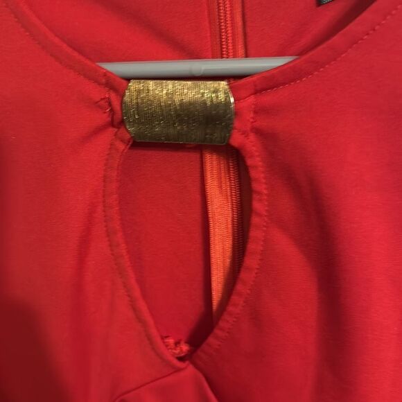 Zhou Zhou Dress LikeNew No tags Size Large - Picture 3 of 7